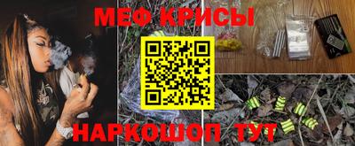 индика Сланцы