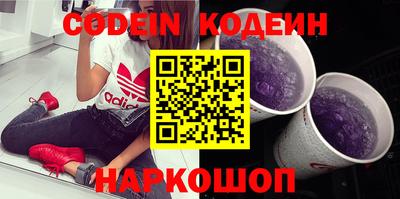 индика Сланцы