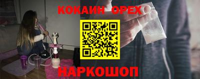 индика Сланцы