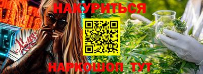 индика Сланцы
