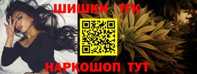 индика Сланцы