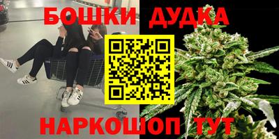 индика Сланцы
