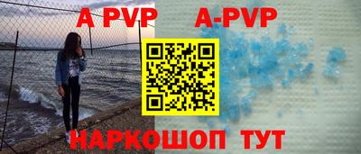 индика Сланцы
