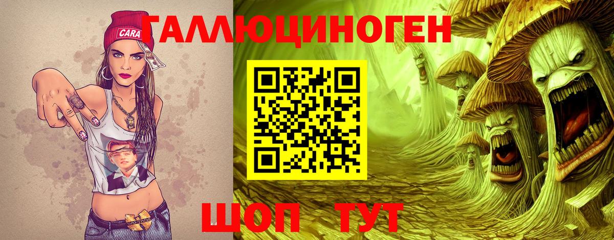 Псилоцибиновые грибы Psilocybe Обь
